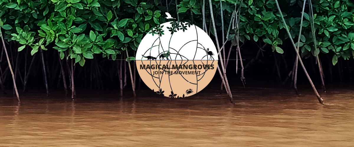 Pheroza Godrej talk for Mangroves